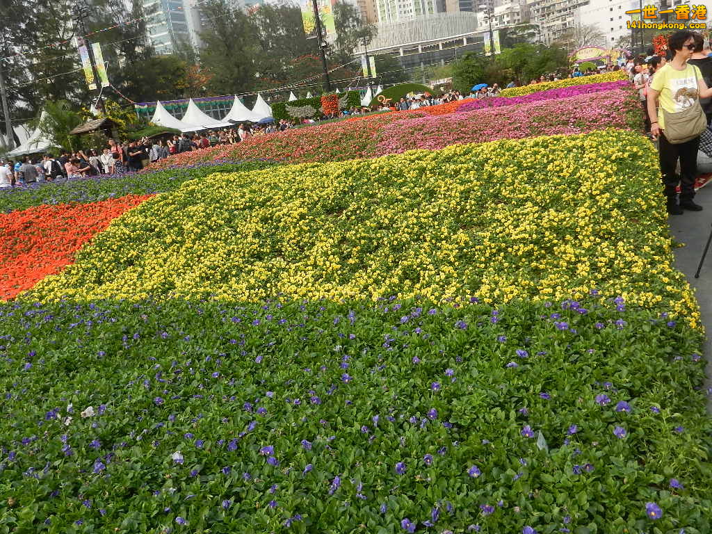 DSCN4692.JPG