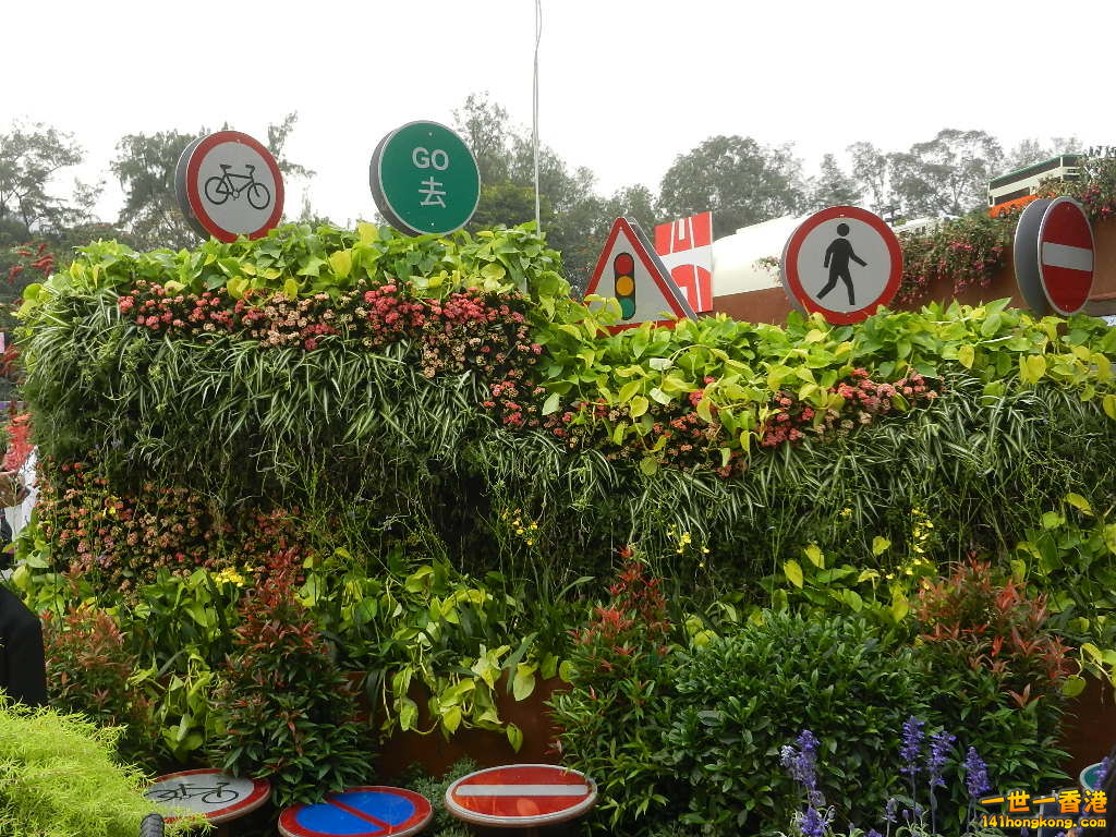 DSCN4739.JPG