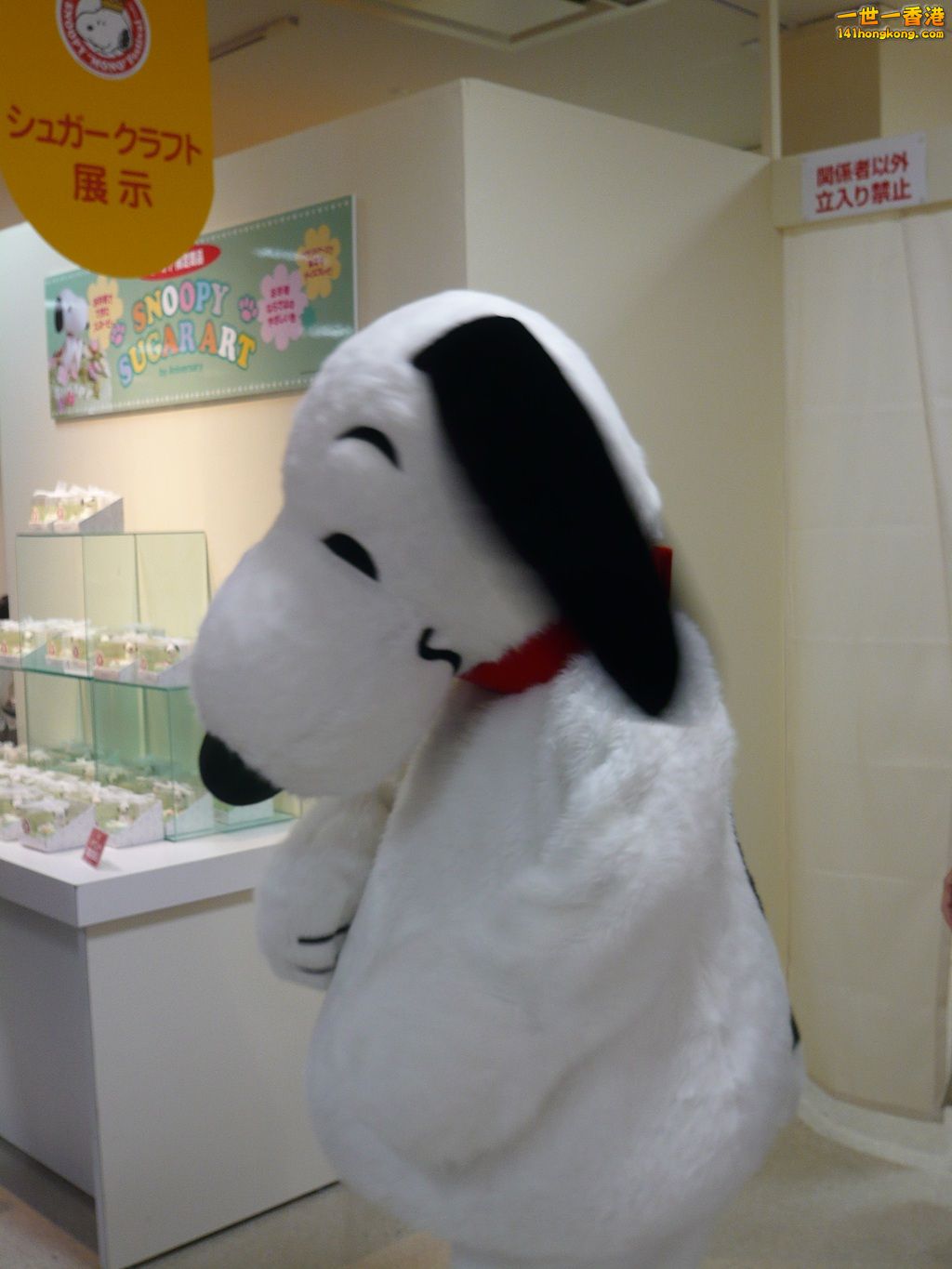 P1020745_副本.jpg