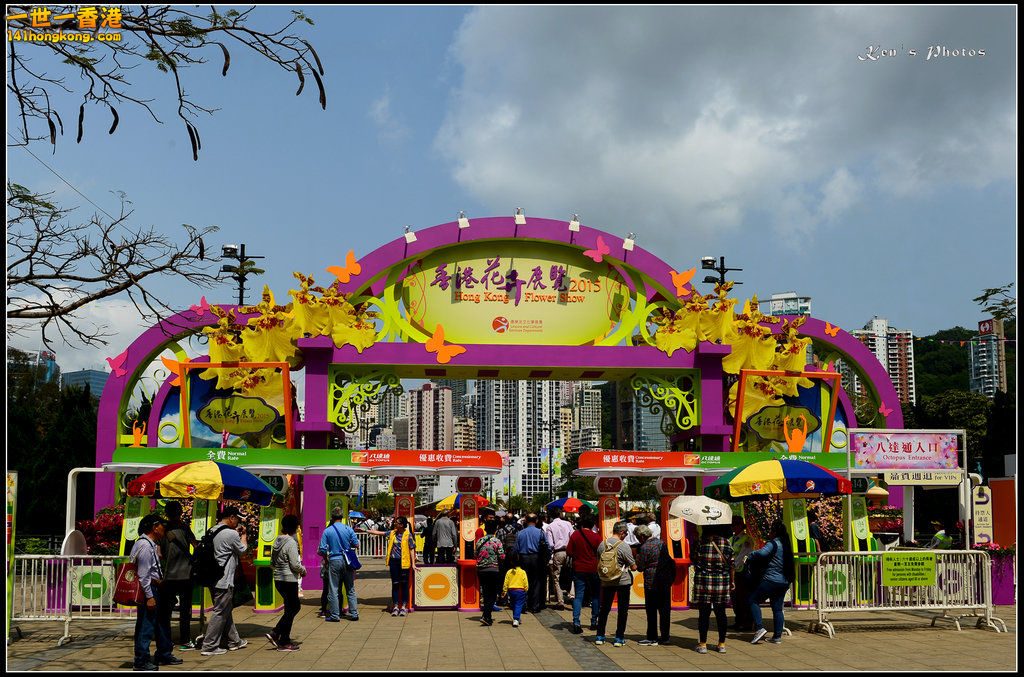 20150320flower1001.jpg