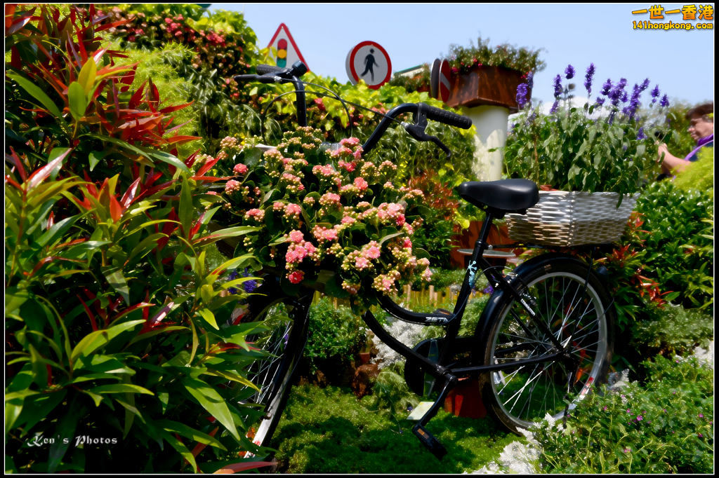 20150320flower1002.jpg