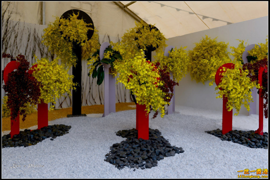 20150320flower1004.jpg