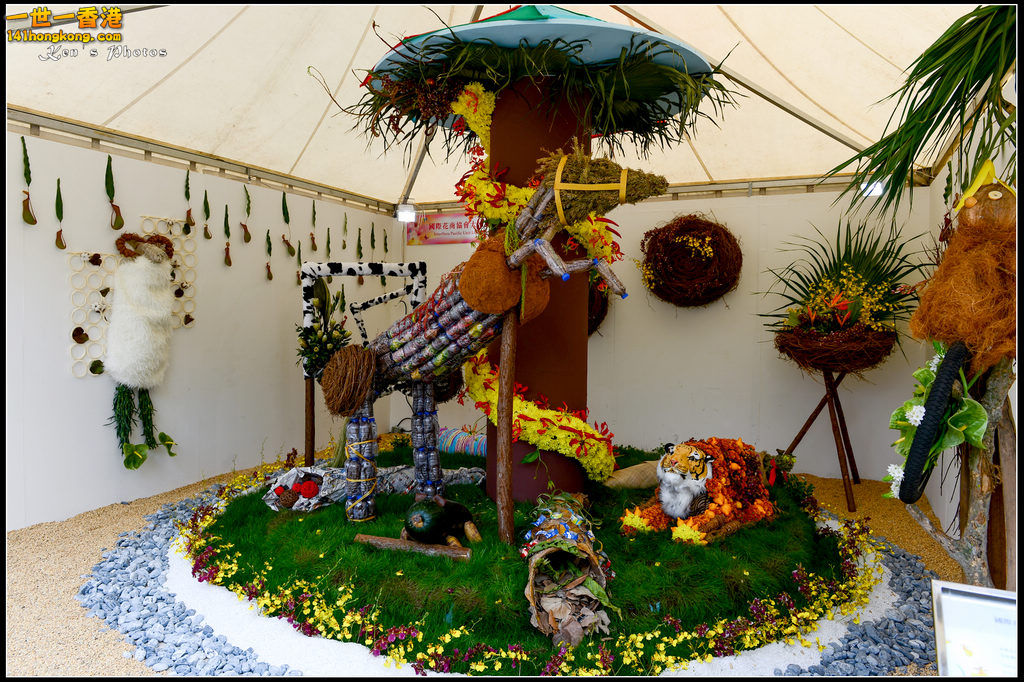 20150320flower1005.jpg