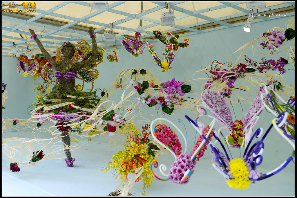 20150320flower1021.jpg
