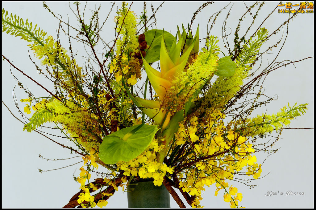 20150320flower1024.jpg