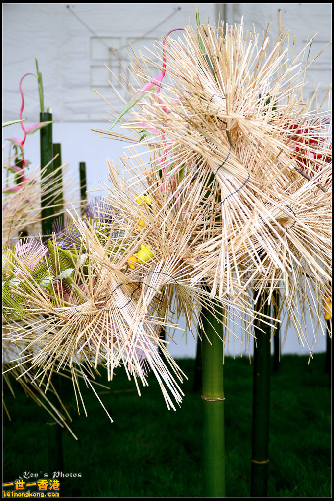 20150320flower1039.jpg