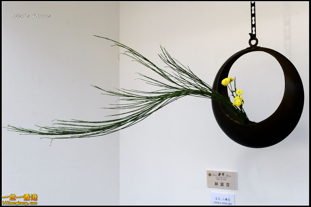 20150320flower1045.jpg