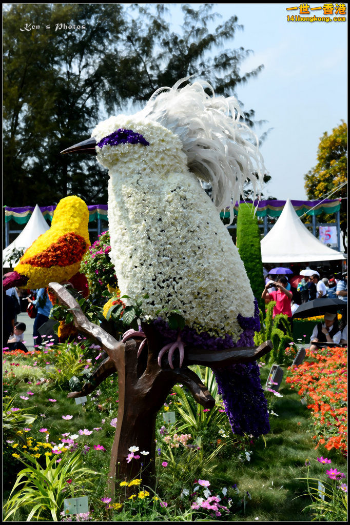 20150320flower1063.jpg