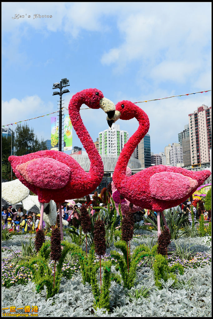 20150320flower1064.jpg