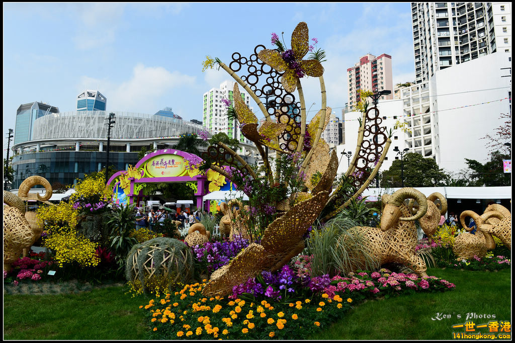 20150320flower1067.jpg