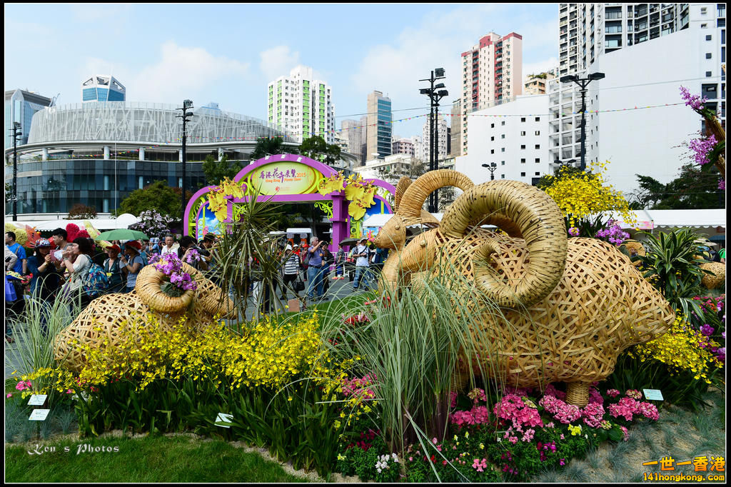 20150320flower1068.jpg