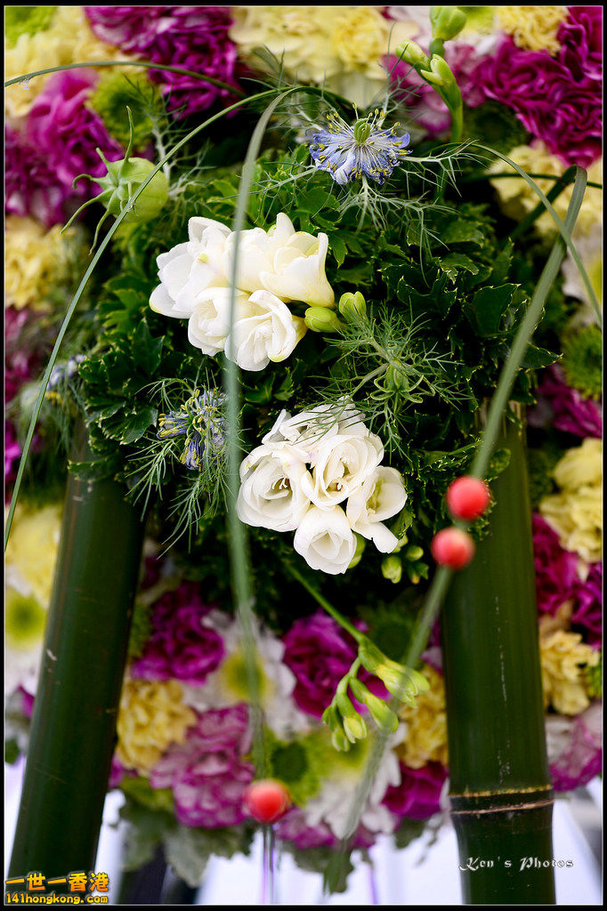 20150320flower1107.jpg