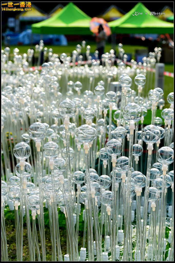 20150320flower1157.jpg