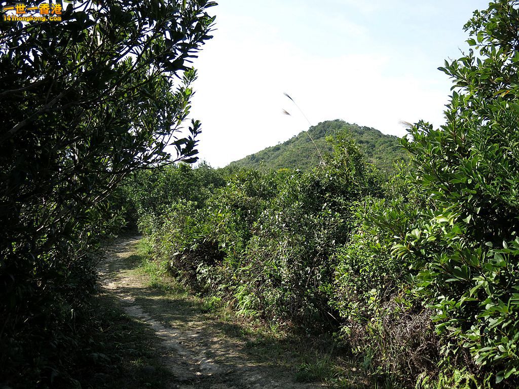 IMG_6116.JPG