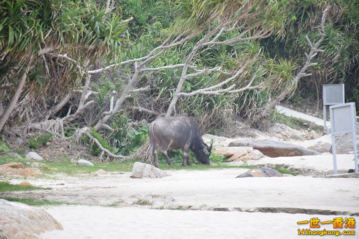 DSC_0067.JPG