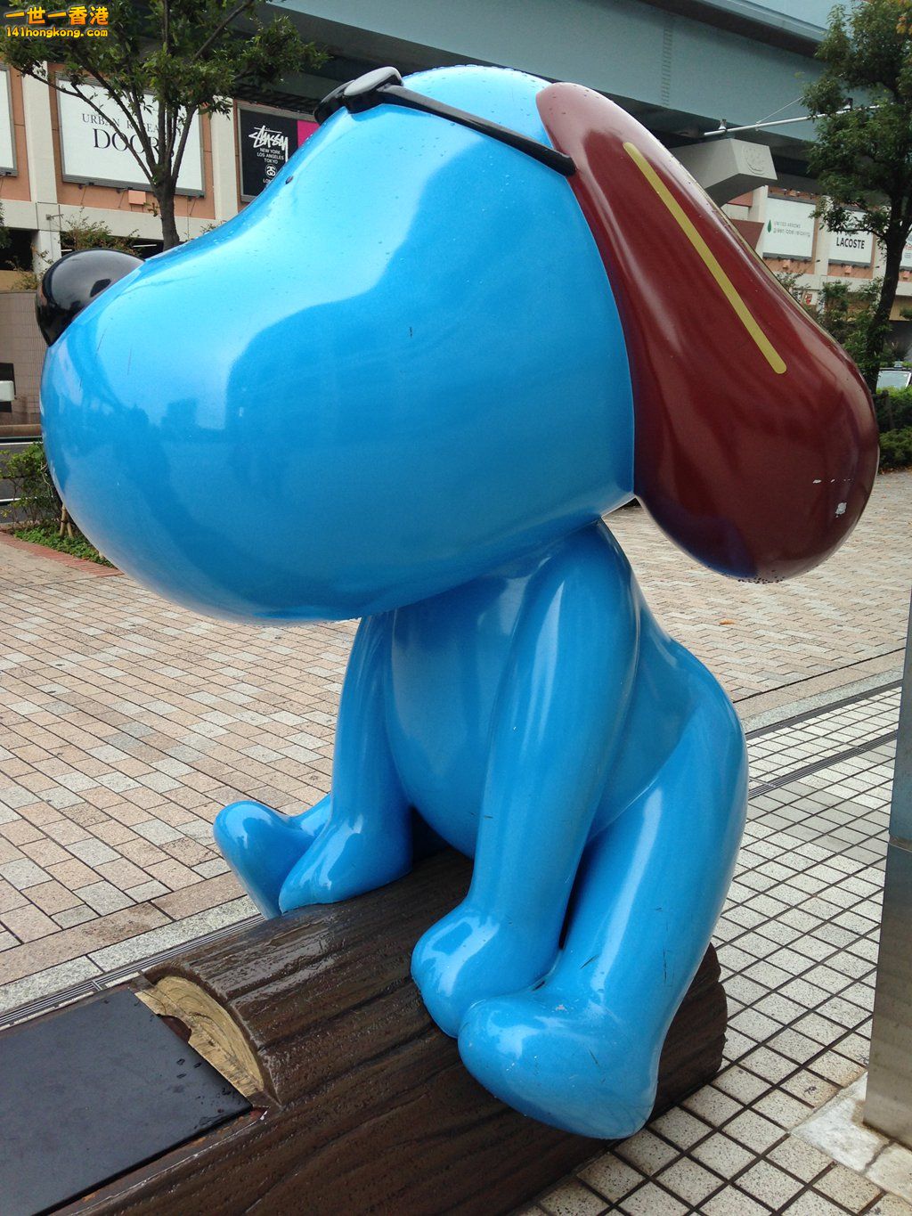 IMG_4818_副本.jpg