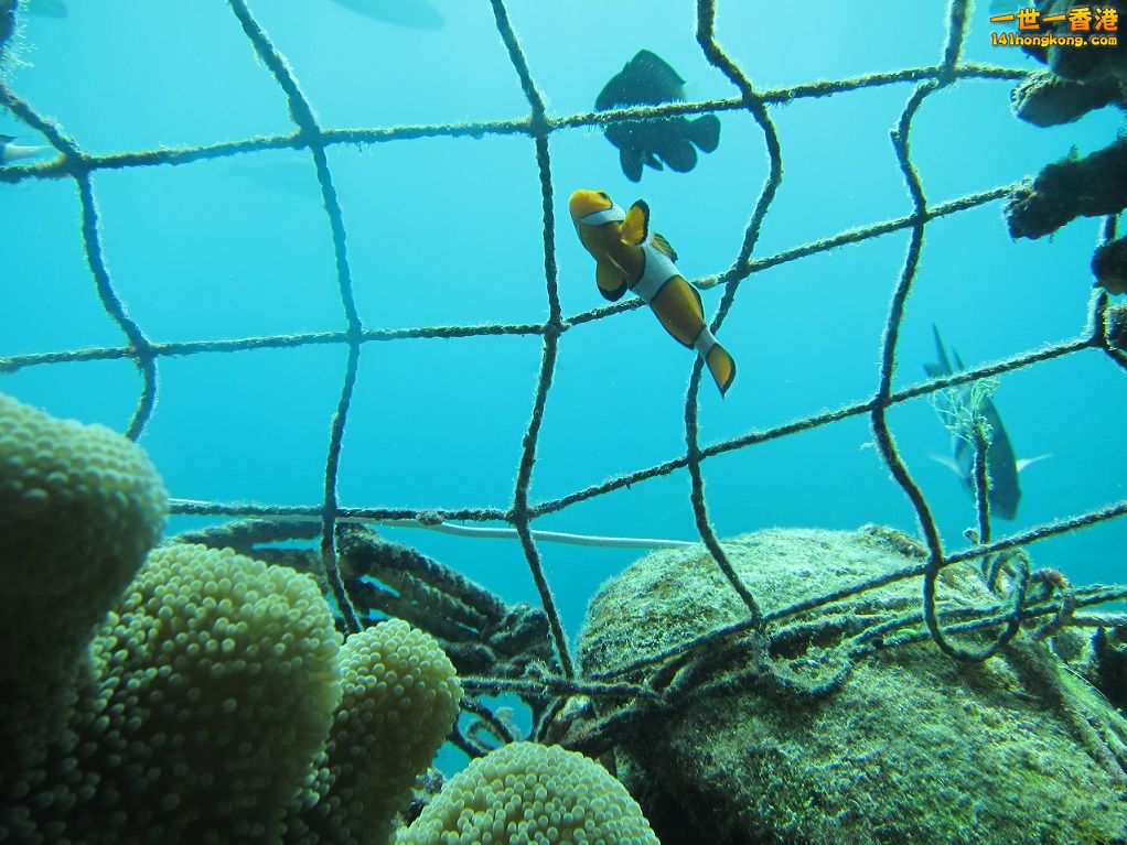 IMG_6492.JPG