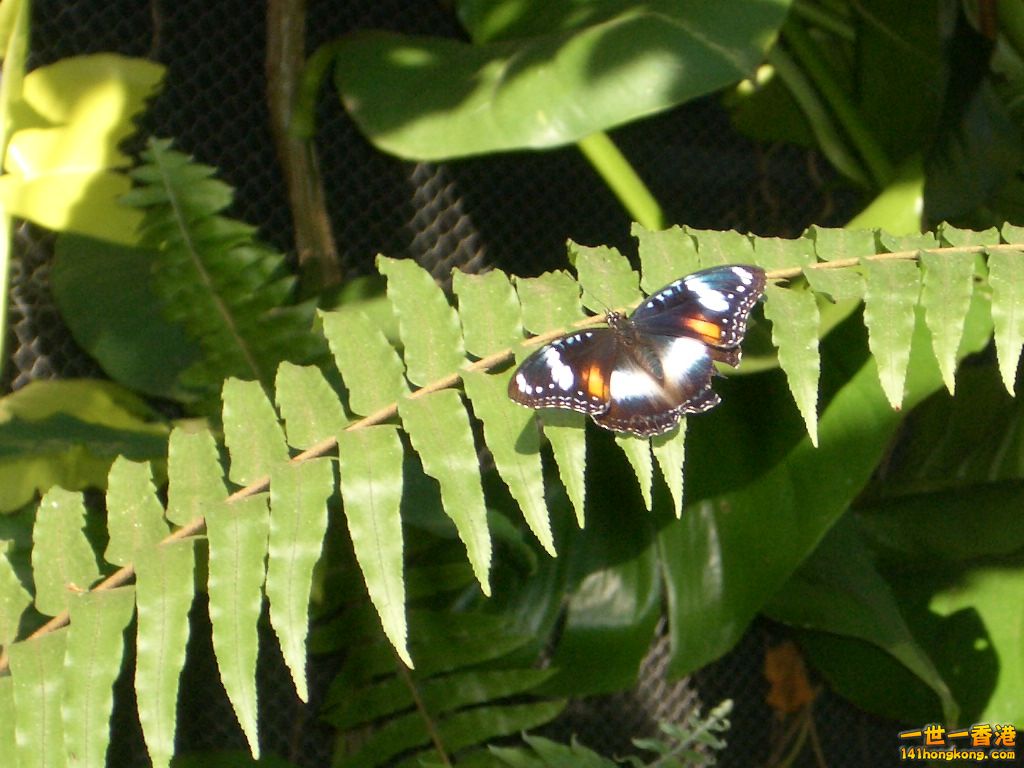 050527 391.JPG