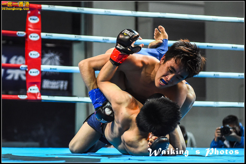 150328 Windy HK 2015 - 0014.jpg