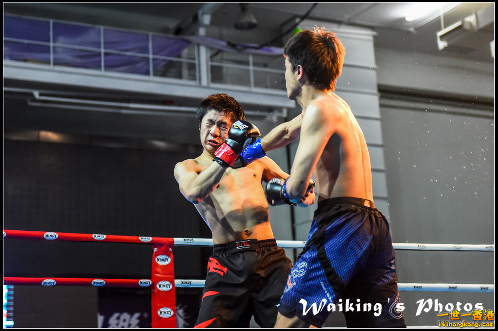 150328 Windy HK 2015 - 0016.jpg