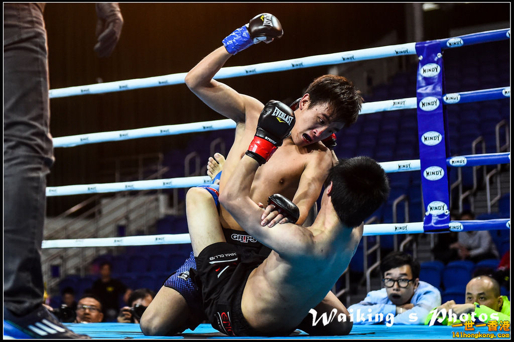 150328 Windy HK 2015 - 0018.jpg