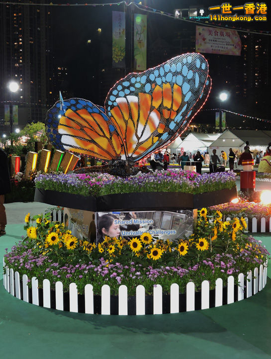 DSCN3340-lo.JPG