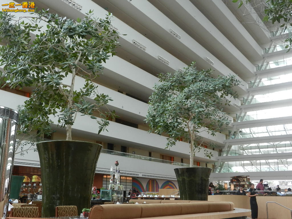 DSCN5450.JPG