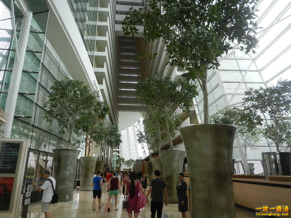 DSCN5449.JPG