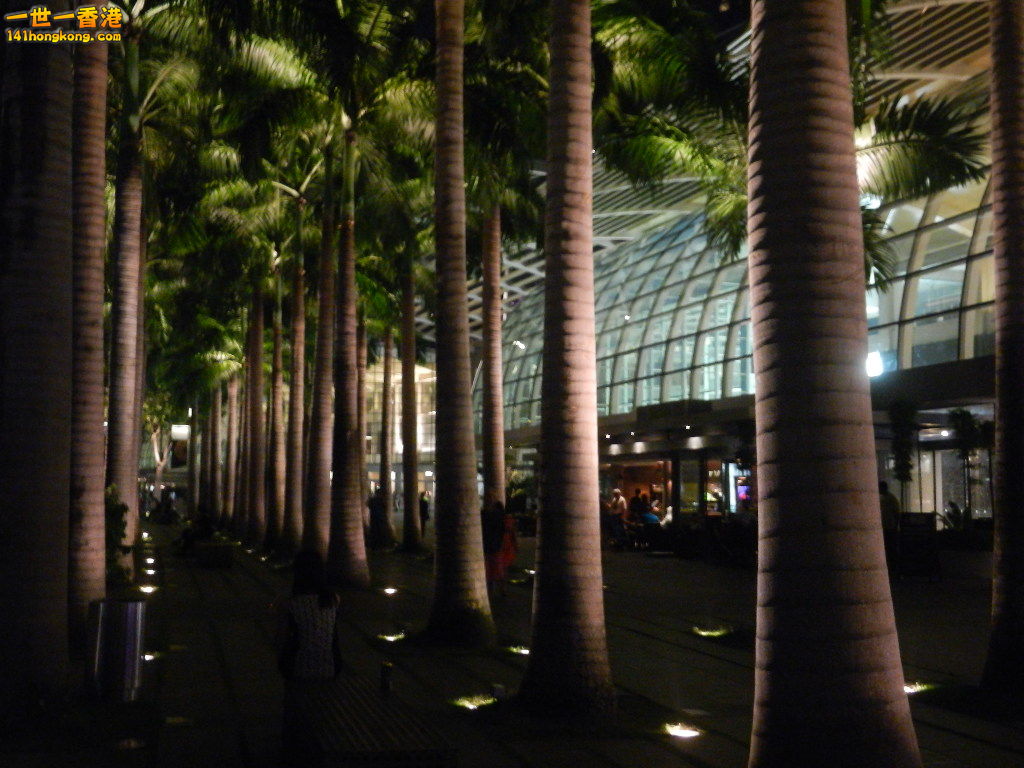 DSCN5489.JPG