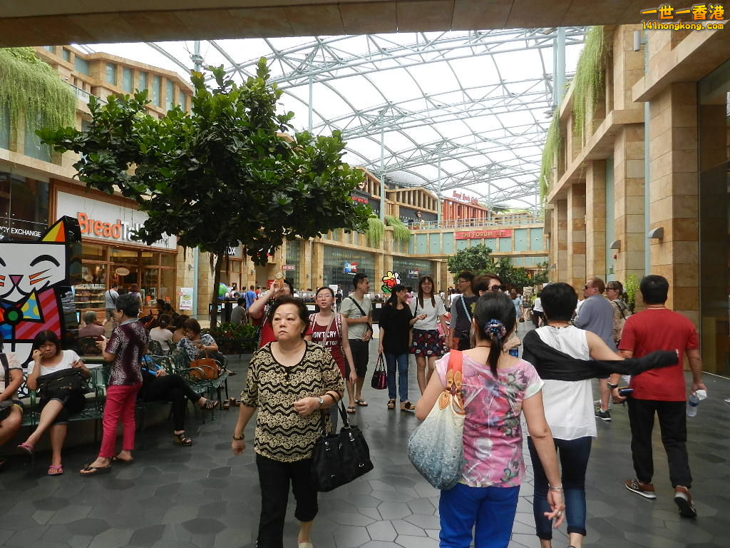 DSCN5435.JPG