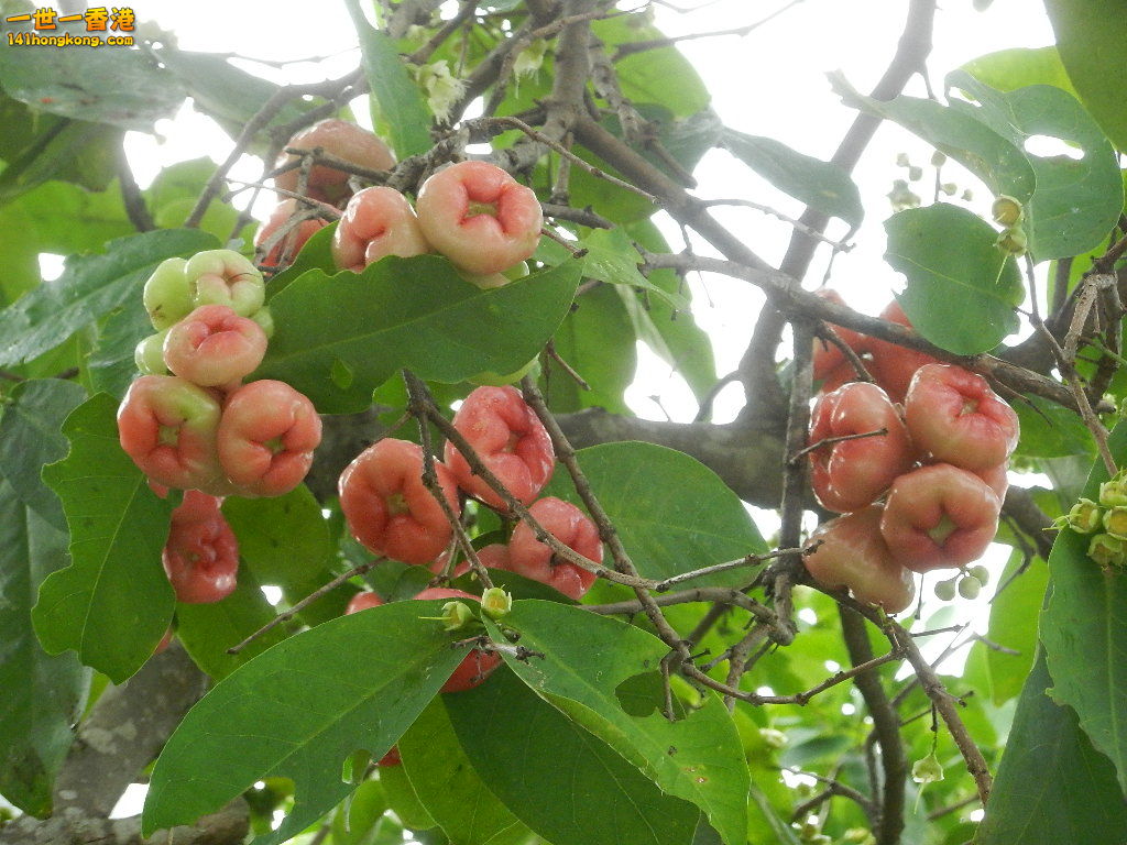 DSCN0782.JPG