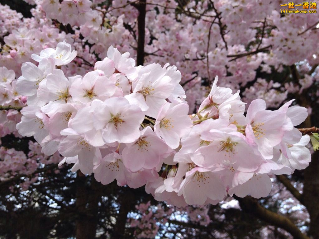 IMG_8571_副本.jpg