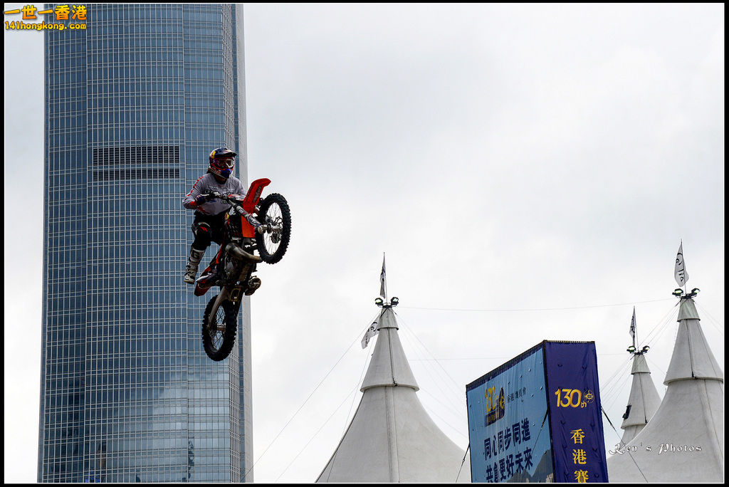 20150403Bull X 1044.jpg