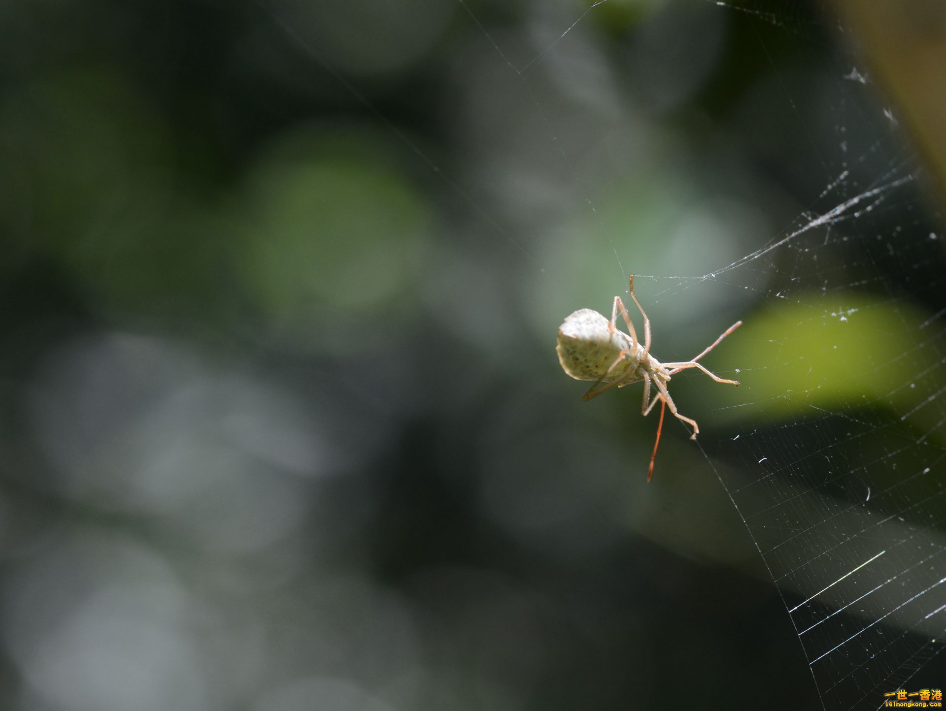 DSC_2751_副本.jpg