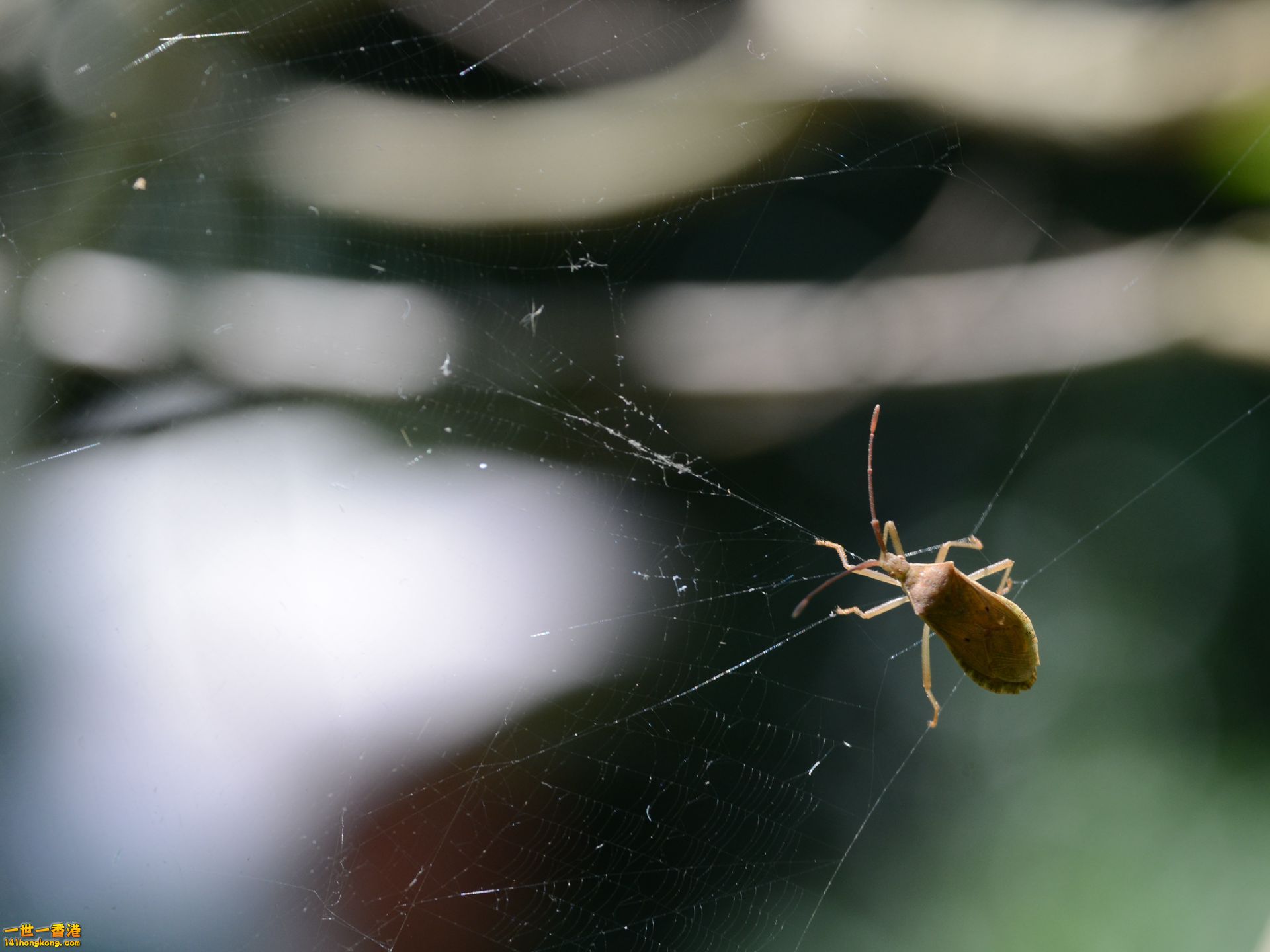 DSC_2756_副本.jpg