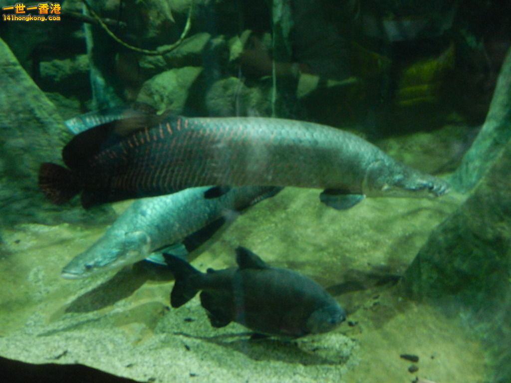 DSCN3794.JPG