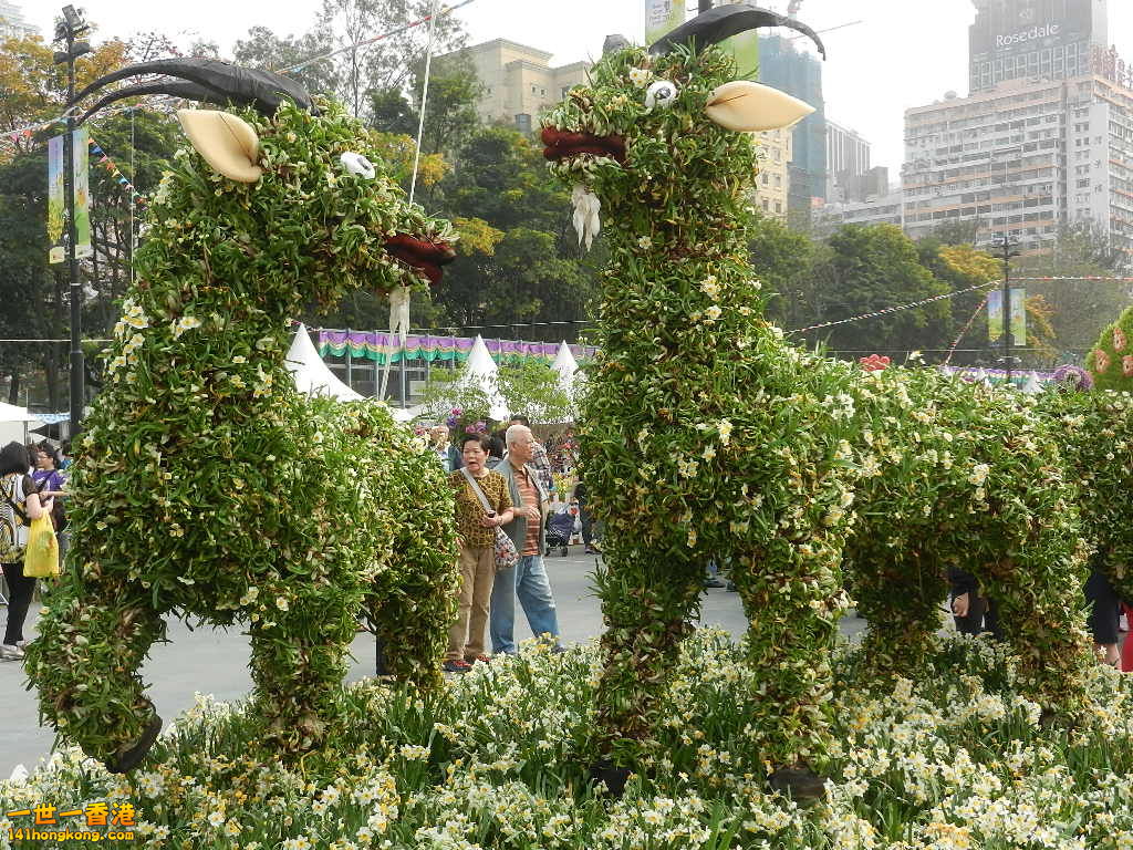 DSCN4674.JPG