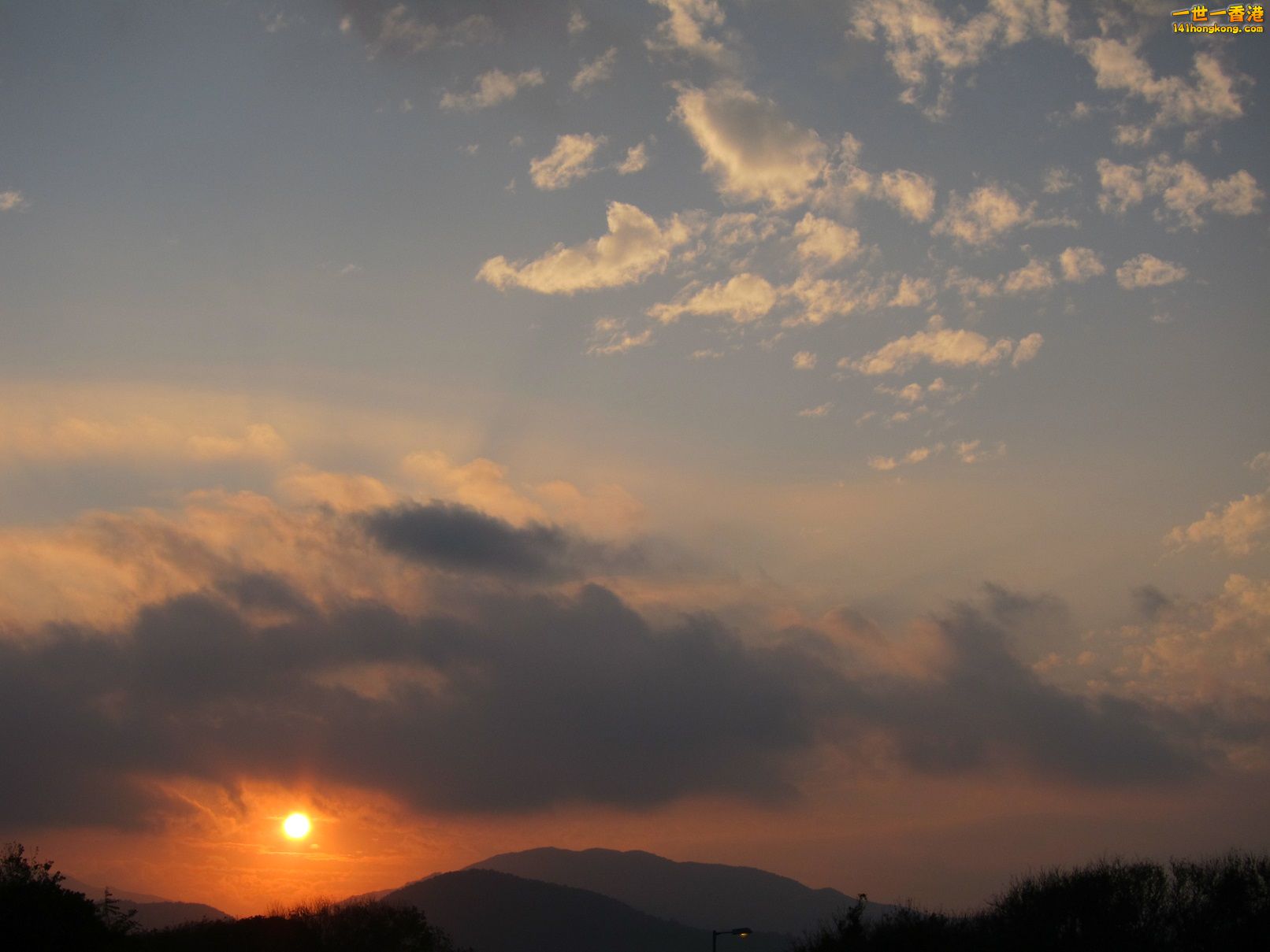 IMG_8520.JPG