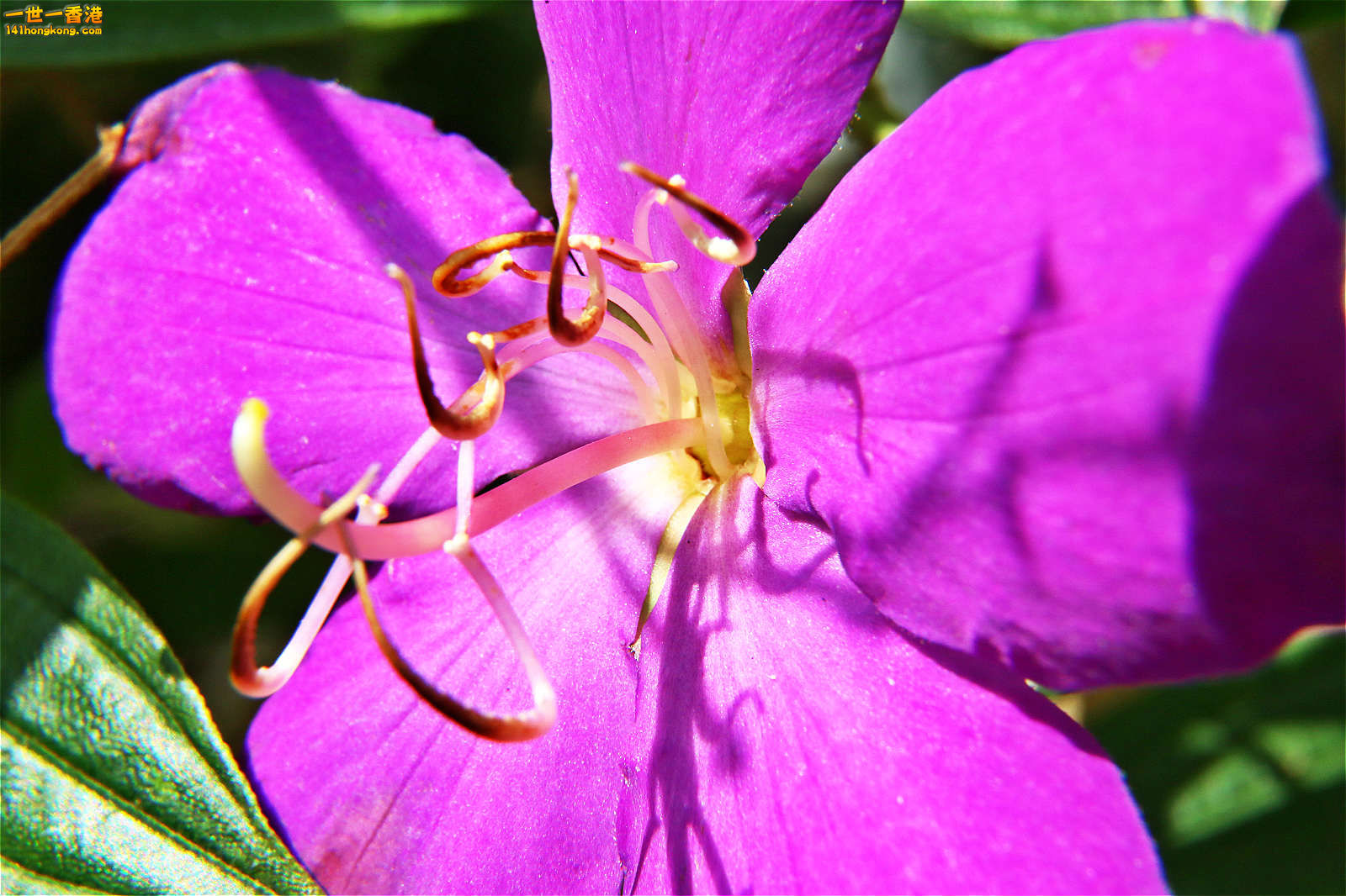 IMG_1450.jpg