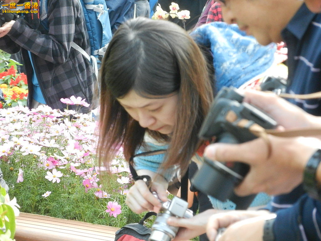 DSCN4077.JPG
