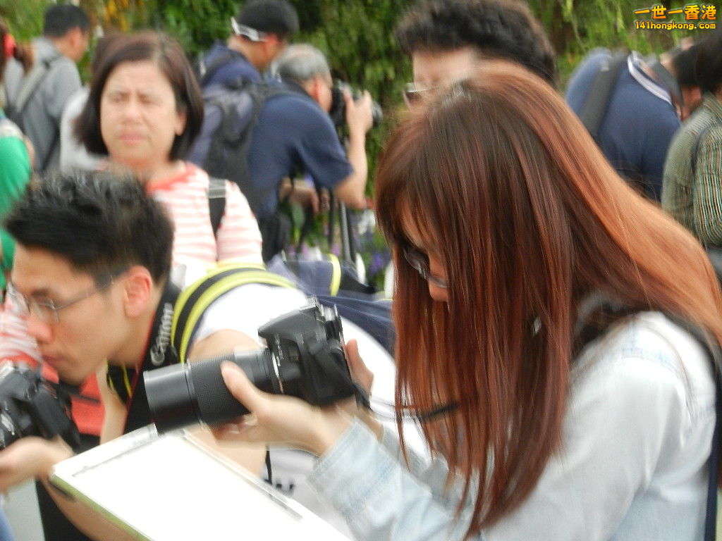 DSCN4205.JPG