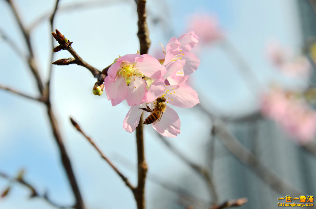 DSC_2033.jpg