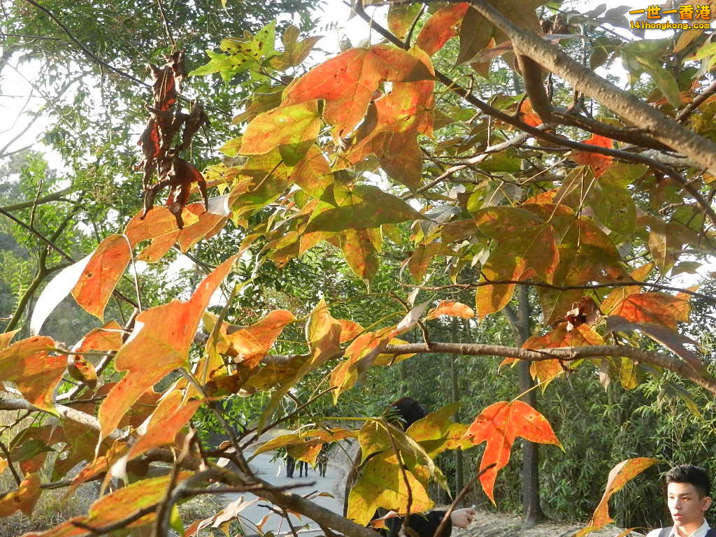 DSCN3599.JPG