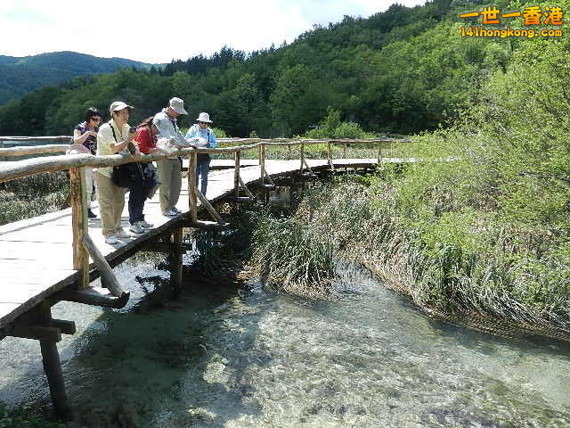 DSCN9070.JPG