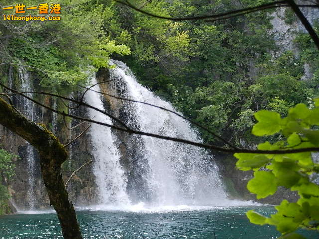 DSCN9085.JPG