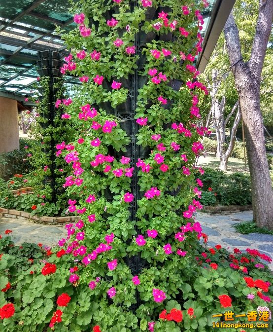 IMG_20150403_104525_HDR 554x748 ok.jpg