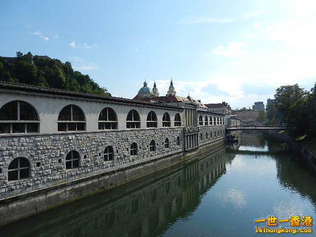 DSCN8484.JPG