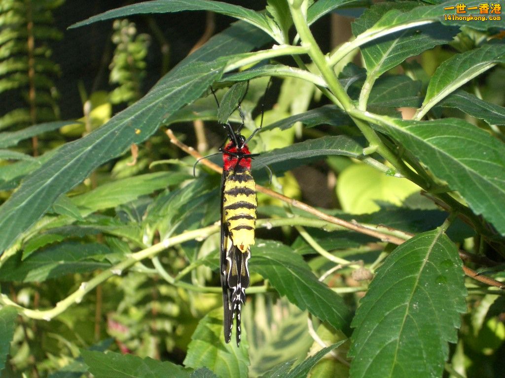 050527 389.JPG