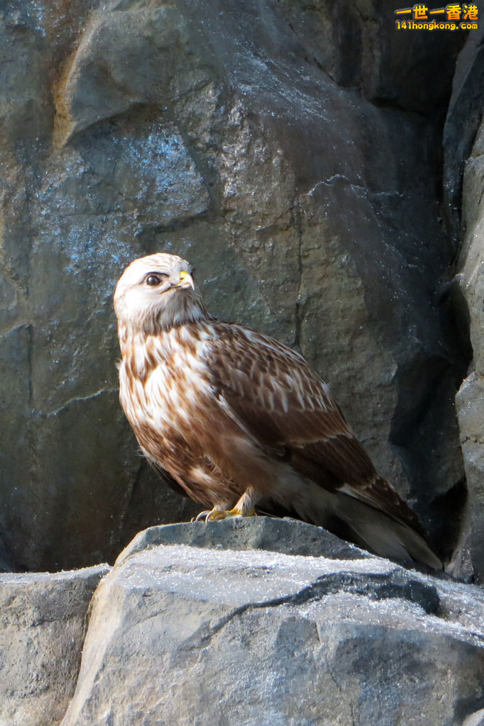 IMG_8474.jpg
