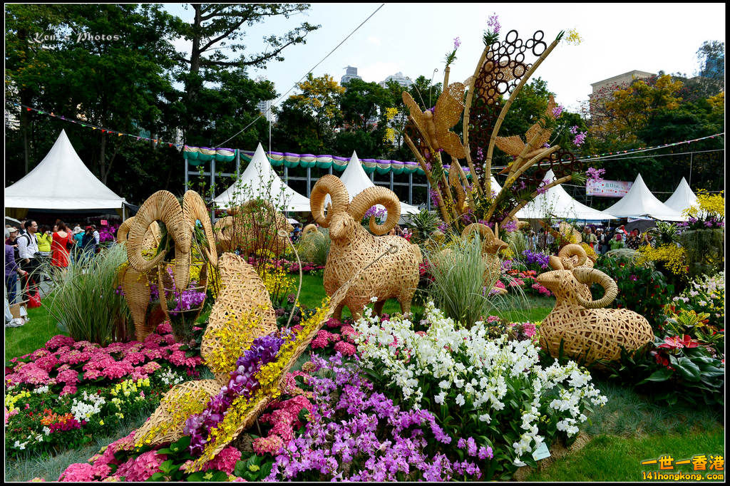 20150320flower1069.jpg